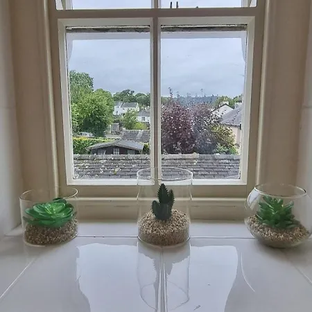 Ivy Bed & Breakfast *